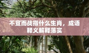 不宣而战指什么生肖，成语释义解释落实