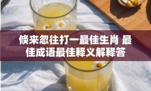 倏来忽往打一最佳生肖 最佳成语最佳释义解释答