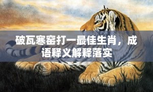 破瓦寒窑打一最佳生肖，成语释义解释落实