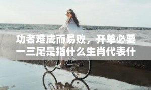 功者难成而易败，开单必要一三尾是指什么生肖代表什么数字动物、成语解释落实