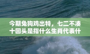 今期兔狗鸡出特，七二不凑十回头是指什么生肖代表什么数字动物、成语解释落实