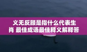 义无反顾是指什么代表生肖 最佳成语最佳释义解释答