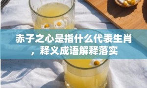 赤子之心是指什么代表生肖，释义成语解释落实