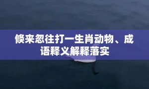 倏来忽往打一生肖动物、成语释义解释落实