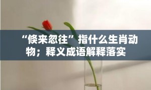 “倏来忽往”指什么生肖动物；释义成语解释落实