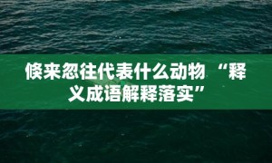 倏来忽往代表什么动物 “释义成语解释落实”