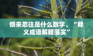 倏来忽往是什么数字、“释义成语解释落实”