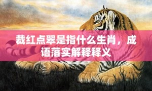 裁红点翠是指什么生肖，成语落实解释释义