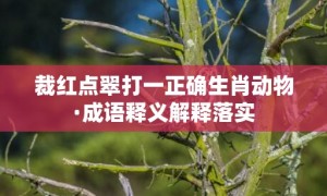 裁红点翠打一正确生肖动物·成语释义解释落实