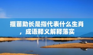 揠苗助长是指代表什么生肖，成语释义解释落实