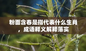 粉面含春是指代表什么生肖，成语释义解释落实