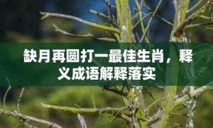 缺月再圆打一最佳生肖，释义成语解释落实