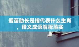 揠苗助长是指代表什么生肖，释义成语解释落实