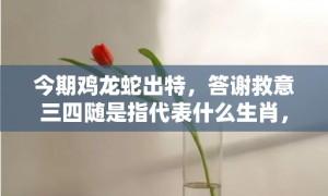 今期鸡龙蛇出特，答谢救意三四随是指代表什么生肖，释义成语解释落实