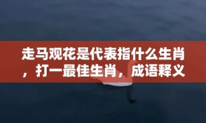 走马观花是代表指什么生肖，打一最佳生肖，成语释义解释落实