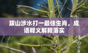 跋山涉水打一最佳生肖，成语释义解释落实