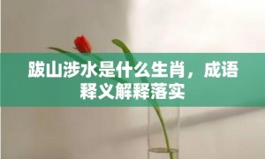 跋山涉水是什么生肖，成语释义解释落实