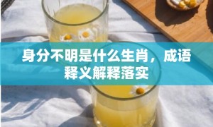 身分不明是什么生肖，成语释义解释落实