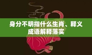 身分不明指什么生肖、释义成语解释落实