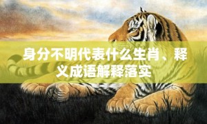 身分不明代表什么生肖、释义成语解释落实