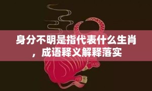 身分不明是指代表什么生肖，成语释义解释落实