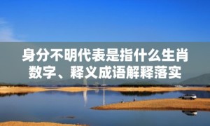 身分不明代表是指什么生肖数字、释义成语解释落实