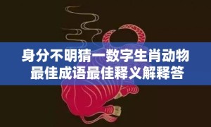 身分不明猜一数字生肖动物 最佳成语最佳释义解释答