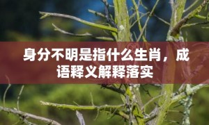 身分不明是指什么生肖，成语释义解释落实