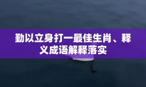 勤以立身打一最佳生肖、释义成语解释落实