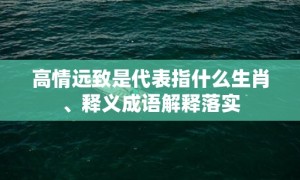 高情远致是代表指什么生肖、释义成语解释落实