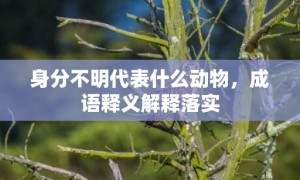 身分不明代表什么动物，成语释义解释落实