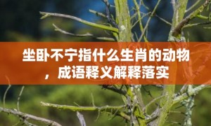 坐卧不宁指什么生肖的动物，成语释义解释落实