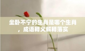 坐卧不宁的生肖是哪个生肖，成语释义解释落实