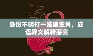 身份不明打一准确生肖，成语释义解释落实