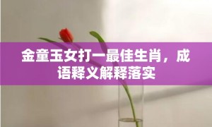 金童玉女打一最佳生肖，成语释义解释落实