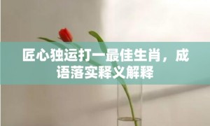 匠心独运打一最佳生肖，成语落实释义解释