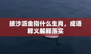 披沙沥金指什么生肖，成语释义解释落实