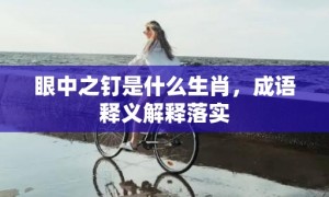 眼中之钉是什么生肖，成语释义解释落实