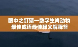 眼中之钉猜一数字生肖动物 最佳成语最佳释义解释答