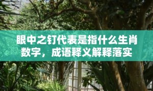 眼中之钉代表是指什么生肖数字，成语释义解释落实