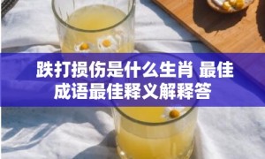 跌打损伤是什么生肖 最佳成语最佳释义解释答