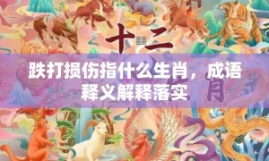 跌打损伤指什么生肖，成语释义解释落实