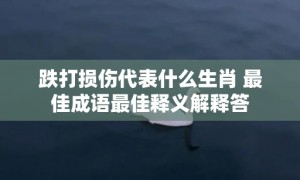 跌打损伤代表什么生肖 最佳成语最佳释义解释答