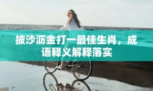 披沙沥金打一最佳生肖，成语释义解释落实