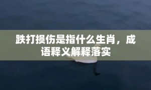 跌打损伤是指什么生肖，成语释义解释落实