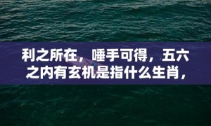 利之所在，唾手可得，五六之内有玄机是指什么生肖，成语释义解释落实