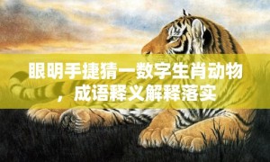 眼明手捷猜一数字生肖动物，成语释义解释落实