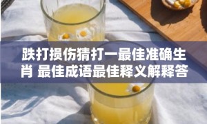 跌打损伤猜打一最佳准确生肖 最佳成语最佳释义解释答