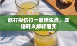 跌打损伤打一最佳生肖，成语释义解释落实