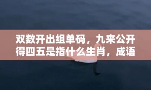 双数开出组单码，九来公开得四五是指什么生肖，成语释义解释落实